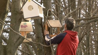 Годівнички для птахів Годівнички для птахів