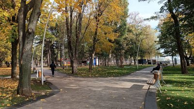 Дніпро, парк, осінь