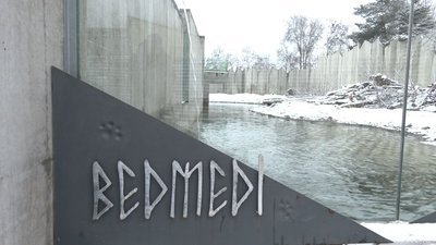 ведмеді ведмеді