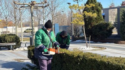 стризка кущів, підготовка до весни