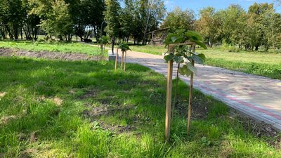 На Тернопільщині відновлюють занедбаний ботанічний сад На Тернопільщині відновлюють занедбаний ботанічний сад