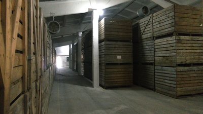 Посадка картоплі на Чернігівщині: фермер розповів про особливості Посадка картоплі на Чернігівщині: фермер розповів про особливості