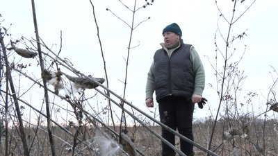 Кількість корів у приватних домогосподарствах Черкащини за 2022 рік зменшилася на дві тисячі: в чому причина Кількість корів у приватних домогосподарствах Черкащини за 2022 рік зменшилася на дві тисячі: в чому причина