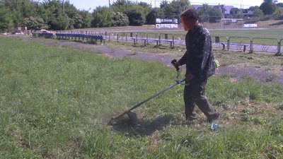 На боротьбу з борщівником у Луцькій громаді виділили 100 тисяч гривень На боротьбу з борщівником у Луцькій громаді виділили 100 тисяч гривень