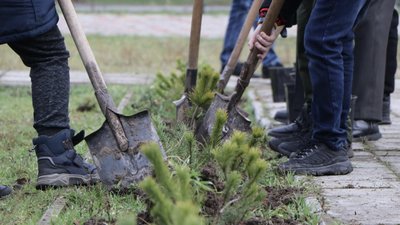 Здали макулатуру та придбали дерева: у парку Дніпра діти висадили ялинки Здали макулатуру та придбали дерева: у парку Дніпра діти висадили ялинки