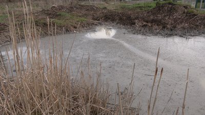 На Рівненщині поліція розслідує забруднення річки. Що про це відомо На Рівненщині поліція розслідує забруднення річки. Що про це відомо