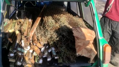 На Черкащині з території дитячого садка викрали 12 секцій металевого паркану На Черкащині з території дитячого садка викрали 12 секцій металевого паркану