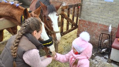 "Деяких дітей не можемо відтягнути від коня". На Донеччині іпотерапією лікують дітей "Деяких дітей не можемо відтягнути від коня". На Донеччині іпотерапією лікують дітей