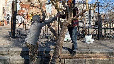 "Зелений театр" у Сумах готується до нового сезону: коли запрацює та на якому етапі підготовка