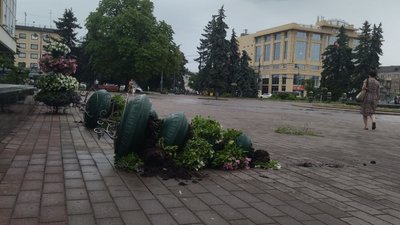 У Луцьку ліквідовують наслідки негоди: що і де поламав вітер У Луцьку ліквідовують наслідки негоди: що і де поламав вітер