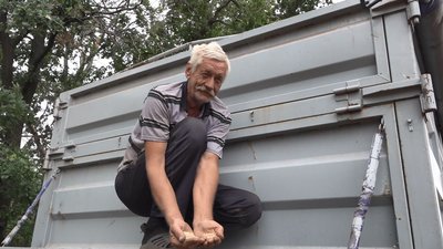 Перші врожаї: на Черкащині тривають жнива