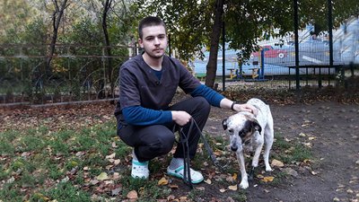 Кропивницькому псу Моцарту поставили протези, лікують і шукають родину