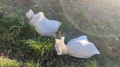 "Цуценята в мішках": волонтери в Сумах обурилися поводженням з тваринами "Цуценята в мішках": волонтери в Сумах обурилися поводженням з тваринами