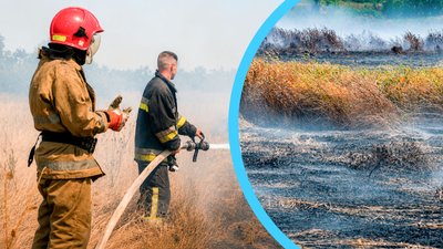 Тління на полях зрошення поблизу Одеси