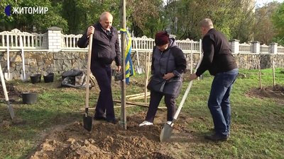 У Житомирі на військовому кладовищі висадили 28 дубів в пам'ять про загиблих військових У Житомирі на військовому кладовищі висадили 28 дубів в пам'ять про загиблих військових