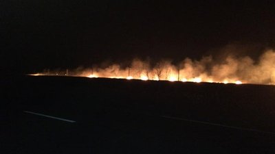 Під Одесою горів заповідник