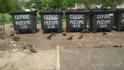 У Сумах фірма, яка частково програла "сміттєвий" конкурс, прибрала свої контейнери разом з асфальтом У Сумах фірма, яка частково програла "сміттєвий" конкурс, прибрала свої контейнери разом з асфальтом