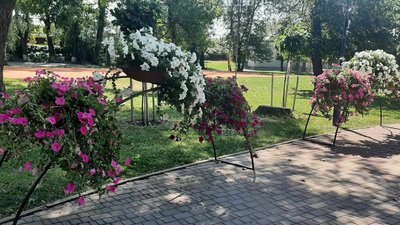 Хмельницький парк імені Івана Франка — колишня болотиста місцевість