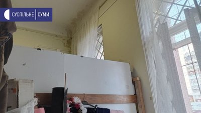 Музей і пліснява Музей і пліснява