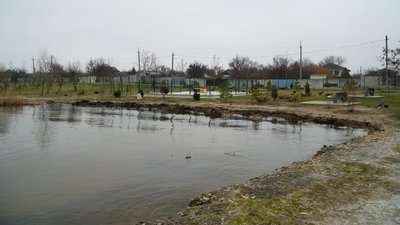 Облаштували пірси та посадили дерева: у Дніпрі жителі облаштували зону відпочинку на Самарському острові Облаштували пірси та посадили дерева: у Дніпрі жителі облаштували зону відпочинку на Самарському острові