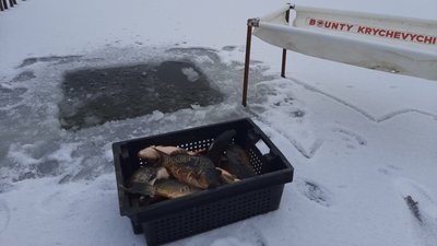 У водосховище на Волині випустили понад 2 тонни риби