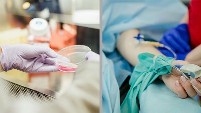 COVID-19 на Миколаївщині: за добу ніхто не захворів, але ніхто й не одужав