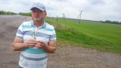 Посівну кампанію на території Житомирщини завершили на дев'яносто відсотків Посівну кампанію на території Житомирщини завершили на дев'яносто відсотків