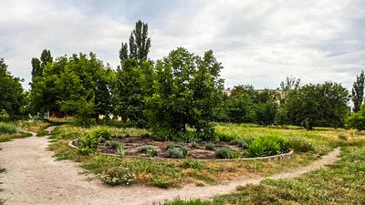Лаванда, лавки та велопарковка. У селищі в Кропивницькій громаді облаштовують громадський простір Лаванда, лавки та велопарковка. У селищі в Кропивницькій громаді облаштовують громадський простір