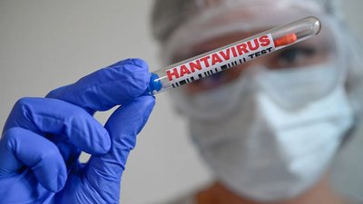 Хантавірус: як передається інфекція і чи є ризики для Закарпаття