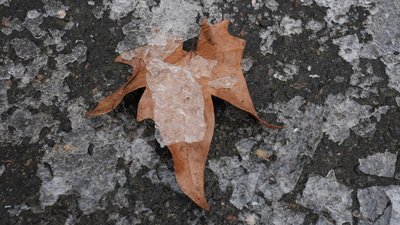 Погода на Миколаївщині 30 січня