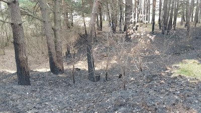На Вінниччині не припиняються пожежі в екосистемах На Вінниччині не припиняються пожежі в екосистемах
