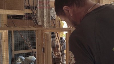 Дивовижні музеї та де їх шукати. Де знімали "Вій" Дивовижні музеї та де їх шукати. Де знімали "Вій"