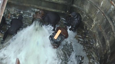 Врятувати рибу та поля: на Донеччині водолази намагаються припинити скид води зі ставу Врятувати рибу та поля: на Донеччині водолази намагаються припинити скид води зі ставу