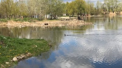 У Полтаві водолази почали розчищати дно річки Ворскла