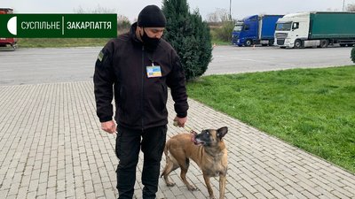7 років на КПП "Ужгород": як служать кінолог та його собака