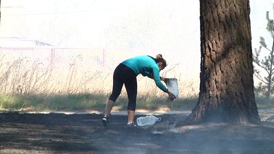 У селі Пряжів горів ліс – підозрюють підпал