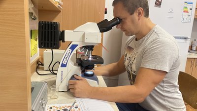 "Молекули родіоли рожевої покращують комунікацію клітин мозку, що старіє" – інтерв'ю з науковцем "Молекули родіоли рожевої покращують комунікацію клітин мозку, що старіє" – інтерв'ю з науковцем