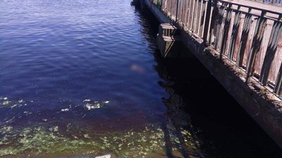 У Черкасах з води дістали тіло жінки