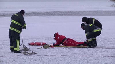 Застрягли у кризі через мороз. На Херсонщині у річці Інгулець замерзають лебеді