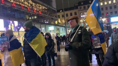 Нагадати світу, що Росія — країна-терорист. У центрі Стокгольма відбувся мітинг на підтримку України