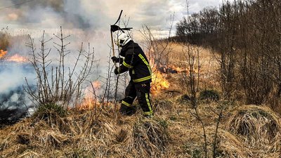 Підпал і необережне поводження з вогнем: за добу 7 разів горіла суха рослинність Підпал і необережне поводження з вогнем: за добу 7 разів горіла суха рослинність