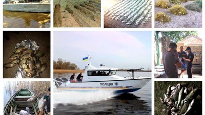 22 кримінальні провадження за браконьєрство - результат операції "Нерест" на Херсонщині