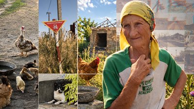Щоденники забутих сіл: Степова Долина