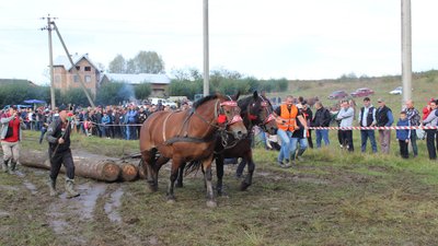 На Прикарпатті відбулися кінні перегони На Прикарпатті відбулися кінні перегони