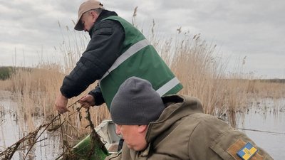 екоінспекція, вилов риби, штраф