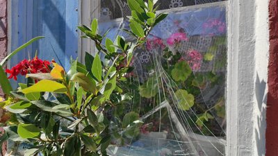 Обстріли свідчення очевидців Обстріли свідчення очевидців