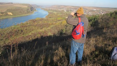 Рослина льодовикового періоду: на Тернопільщині науковці вивчали межі рідкісного виду Рослина льодовикового періоду: на Тернопільщині науковці вивчали межі рідкісного виду