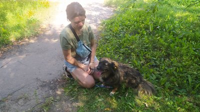 Харківські волонтери евакуюють з лінії зіткнення покинутих тварин