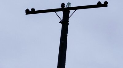 У Сумській області негода знеструмила 20 населених пунктів — ДСНС