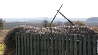 "Вийду на подвір'я, гляну навкруги – нікого не видно": як живе жителька зникаючого села на Рівненщині "Вийду на подвір'я, гляну навкруги – нікого не видно": як живе жителька зникаючого села на Рівненщині